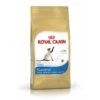 Royal Canin Siamese | 2kg Spezialtrockenfutter Für Siamkatzen -ANIMONDA Verkaufsgeschäft 2kg Royal Canin Siamese 38 Katzenfutter fuer Siamkatzen