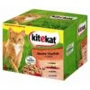Kitekat BunteVielfalt In Sauce | 48x 100g Katzenfutter -ANIMONDA Verkaufsgeschäft 48x100g Kitekat Multipack Bunte Vierfalt Vielfa
