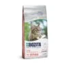Bozita Large Wheat Free Salmon | 2kg Katzenfutter Trocken -ANIMONDA Verkaufsgeschäft Bozita Large wheat free Salmon 2kg 213622