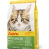 Josera Cat Kitten Grainfree | 2kg Kätzchenfutter 1 Josera Cat Kitten Grainfree | 2kg Kätzchenfutter -ANIMONDA Verkaufsgeschäft Josera Cat Kitten Grainfree 2kg 214388