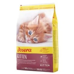 Josera Kitten | 10kg Katzenfutter, Kätzchenfutter