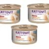 [Paket] Kattovit Diet Urinary Struvitstein-Prophylaxe FLUTD (C-Rezeptur) | 36x 85g -ANIMONDA Verkaufsgeschäft Kattovit Diet Urinary Struvitstein Prophylaxe FLUTD C Rezeptur 36x 85g 215226