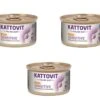 [Paket] Kattovit Feline Diet Sensitive Huhn Hypoallergene Schonkost (D-Rezeptur) | 36x 85g -ANIMONDA Verkaufsgeschäft Kattovit Feline Diet Sensitive Huhn Hypoallergene Schonkost D Rezeptur 36x 85g 215548