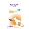 Kattovit Urinary Mit Huhn Spezial-Cream | 11er Pack 6x15g 1 Kattovit Urinary Mit Huhn Spezial-Cream | 11er Pack 6x15g -ANIMONDA Verkaufsgeschäft Kattovit Urinary mit Huhn Spezial Cream 11er Pack 6x15g 215872