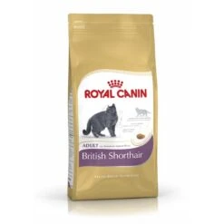 Royal Canin British Shorthair | 4kg Katzenfutter Für Rassekatzen