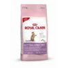 Royal Canin Feline Kitten Sterilised | 2kg Für Kastrierte Kätzchen -ANIMONDA Verkaufsgeschäft Royal Canin Feline Kitten Sterilised 2kg fuer kastrier