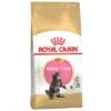 Royal Canin Feline Kitten Maine Coon | 4kg Kätzchenfutter 2 Royal Canin Feline Kitten Maine Coon | 4kg Kätzchenfutter -ANIMONDA Verkaufsgeschäft Royal Canin Feline Maine Coon 36 4kg Katzenfutter 5924