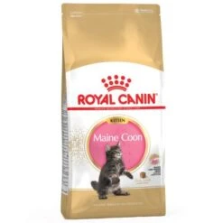 Royal Canin Feline Kitten Maine Coon | 4kg Kätzchenfutter
