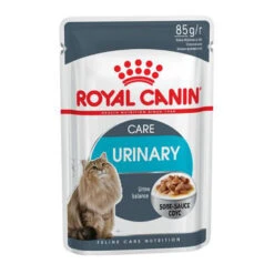 Royal Canin Feline Urinary Care In Sosse | 12x 85g Katzenfutter