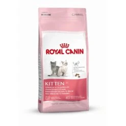 Royal Canin Kitten Kätzchenfutter | 10kg Für Säugende Katzen