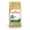 Royal Canin Maine Coon | 2kg Kroketten Katzenfutter -ANIMONDA Verkaufsgeschäft Royal Canin Maine Coon 2kg fuer Maine Coon mit King Si