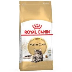 Royal Canin Maine Coon | 4kg Katzenfutter Trocken